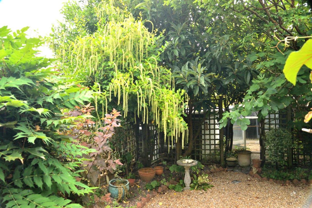 Cosy House, A Train Spotter'S Delight! Villa New Alresford Exteriör bild